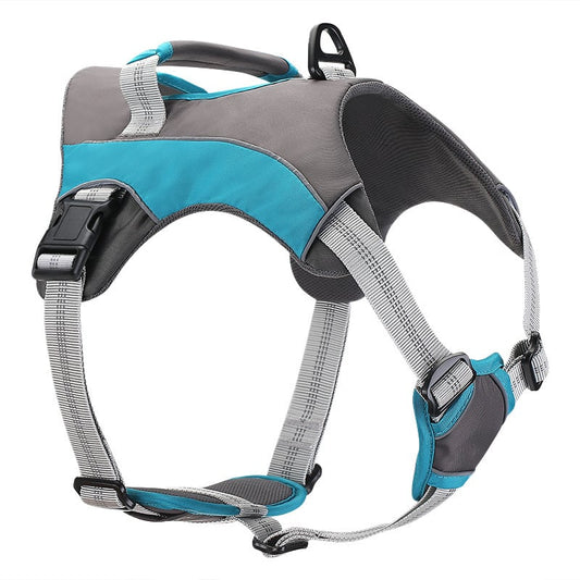 Safety Spark Pet Leashes & Straps